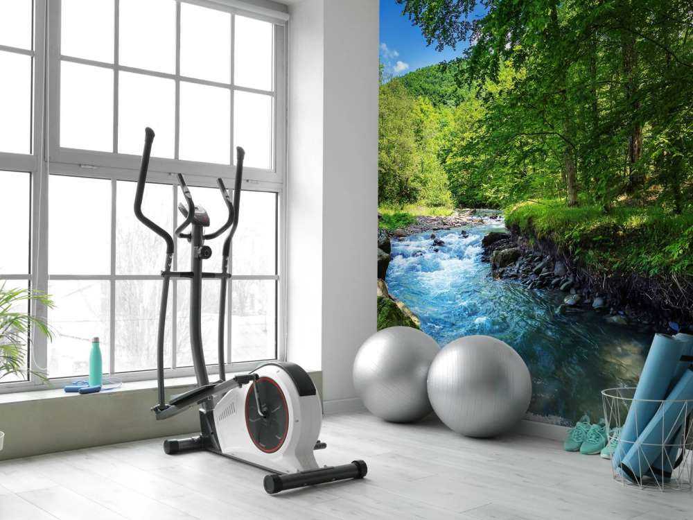 Stromende Rivier in het Bos in Zomer