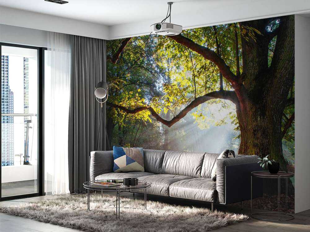 Mooie Eik in het Bos