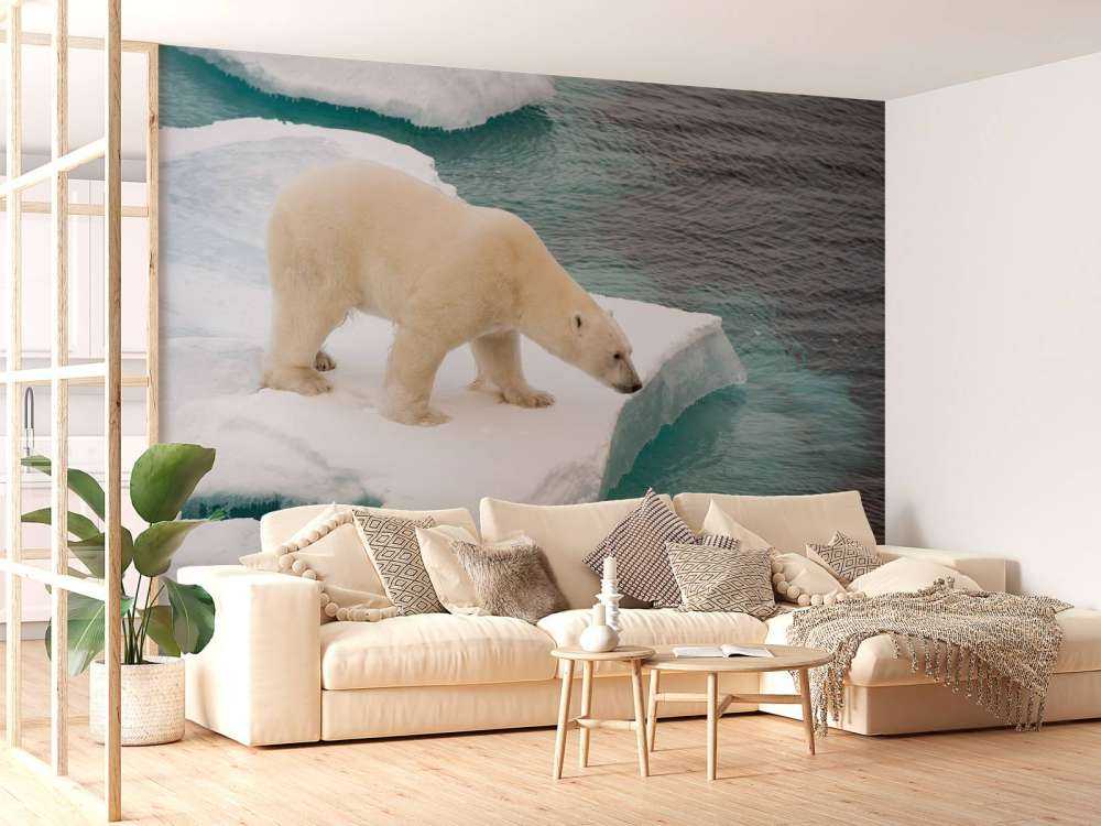 Een ijsbeer observeert de zee