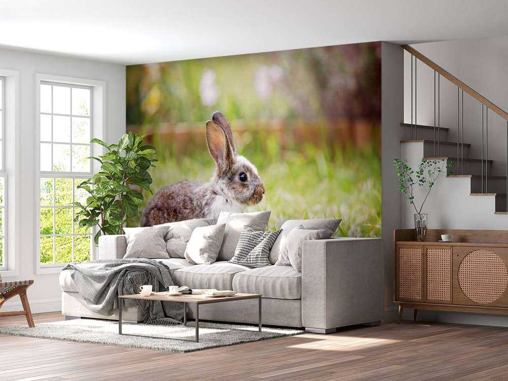 Schattig konijntje in een tuin