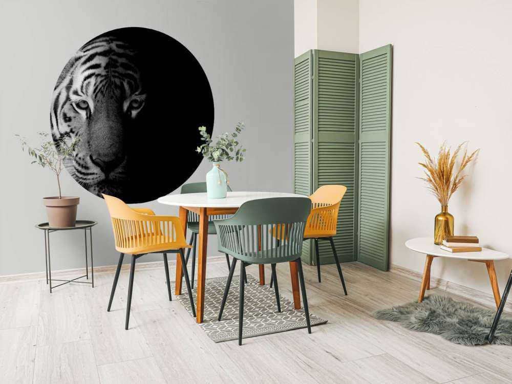 Tijger op zwarte achtergrond