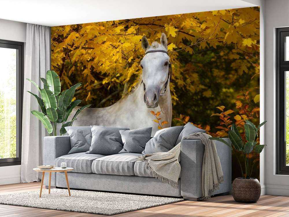 Wit Paard in de Herfst