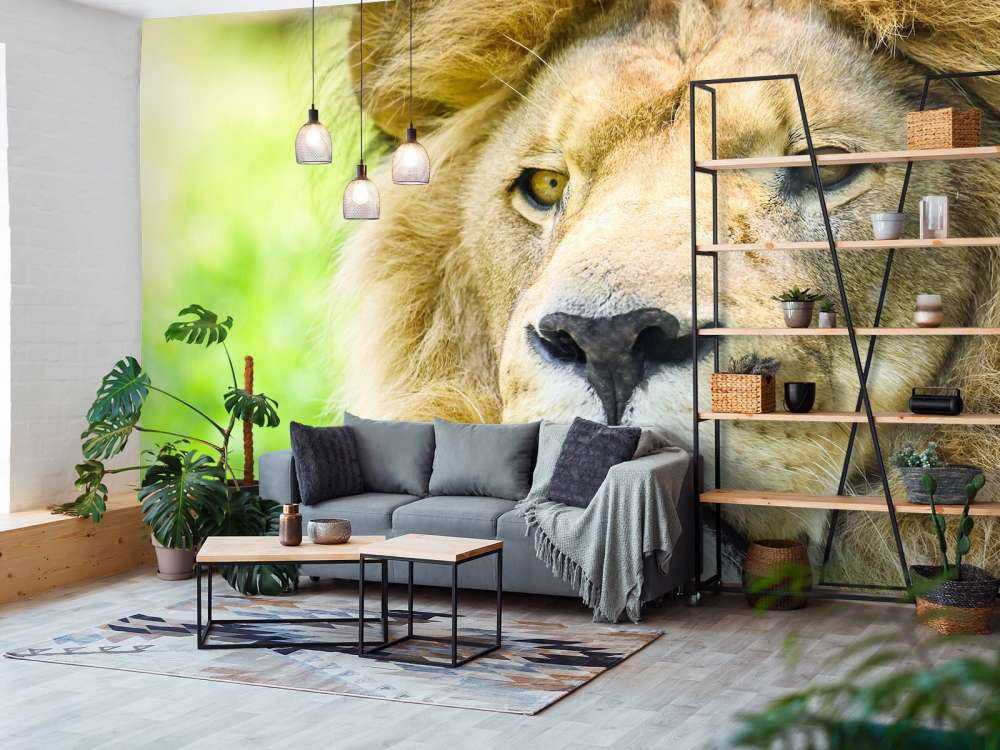 Gezicht van een Mooie Leeuw