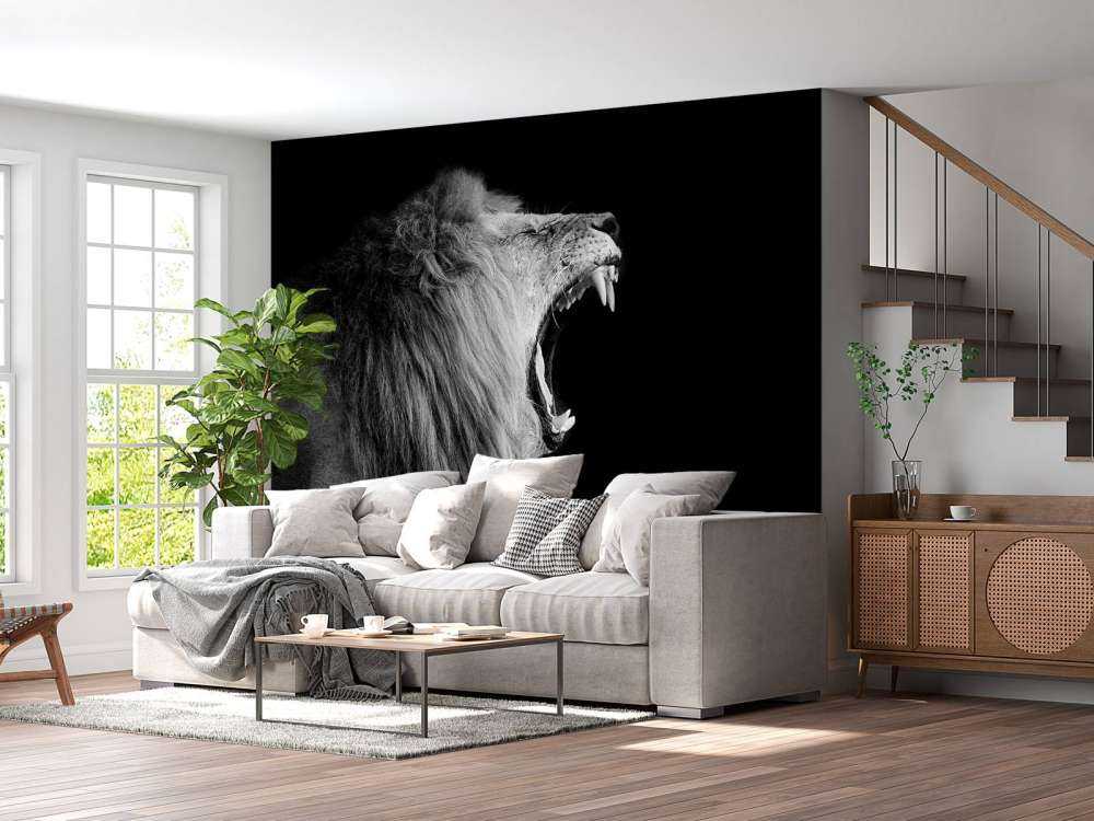 Gevaarlijke Leeuw op Zwarte Achtergrond