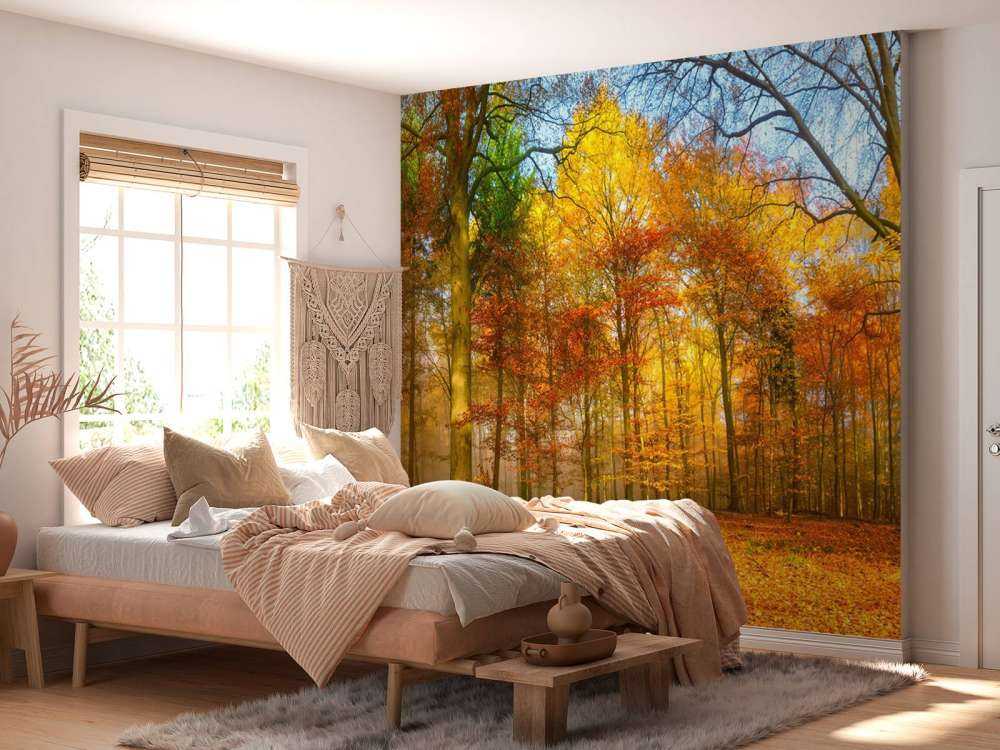 Kleurrijk bospanorama