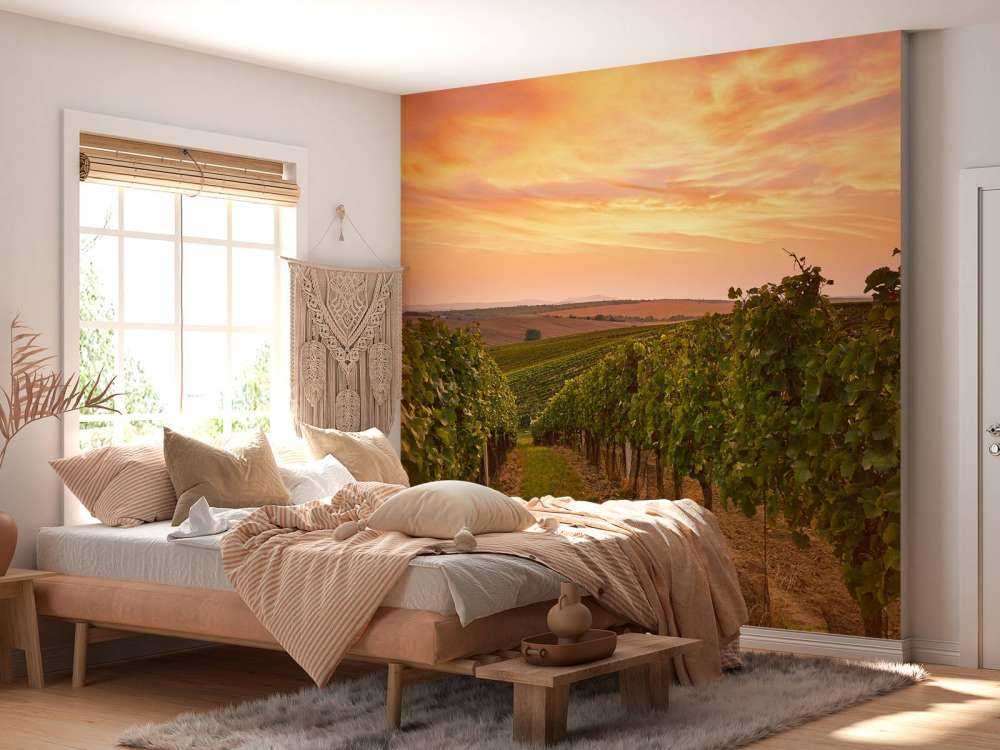 Wijngaard bij zonsondergang