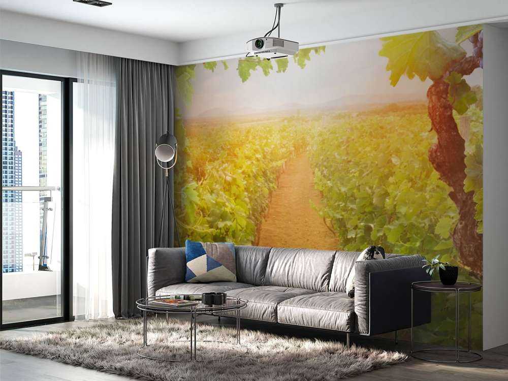 Wijngaard met druiven op de voorgrond