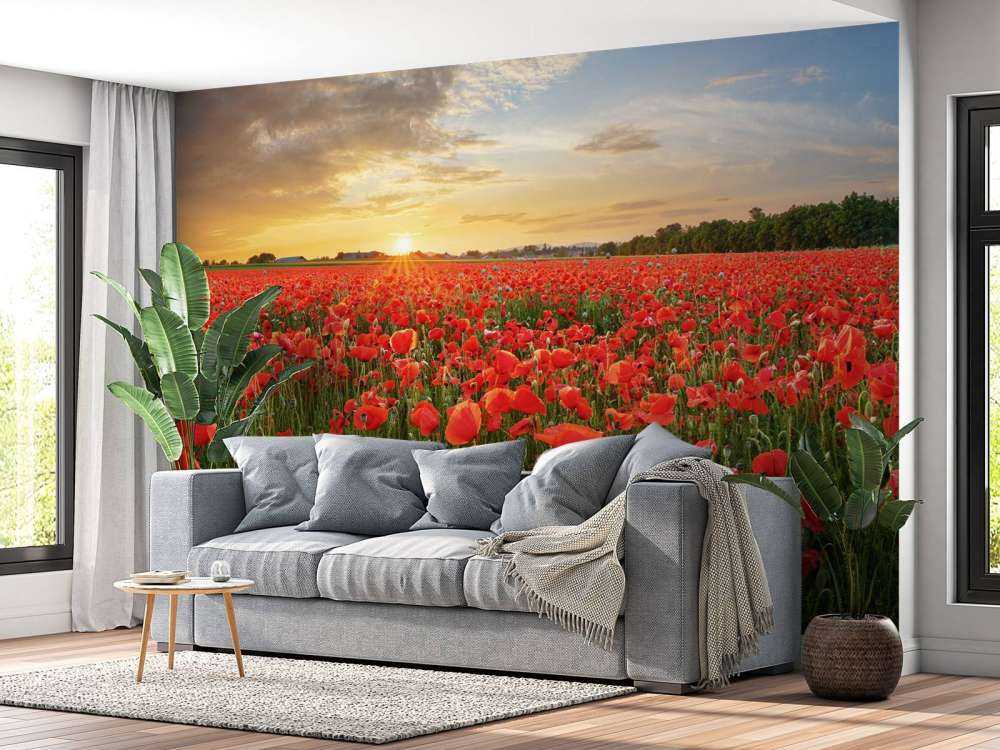 Zonsondergang met klaprozen