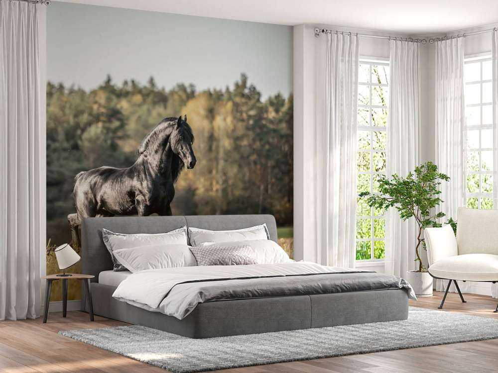 Fries Paard op het gras omringd door bomen