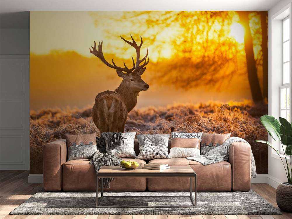 Hert met Zonsondergang