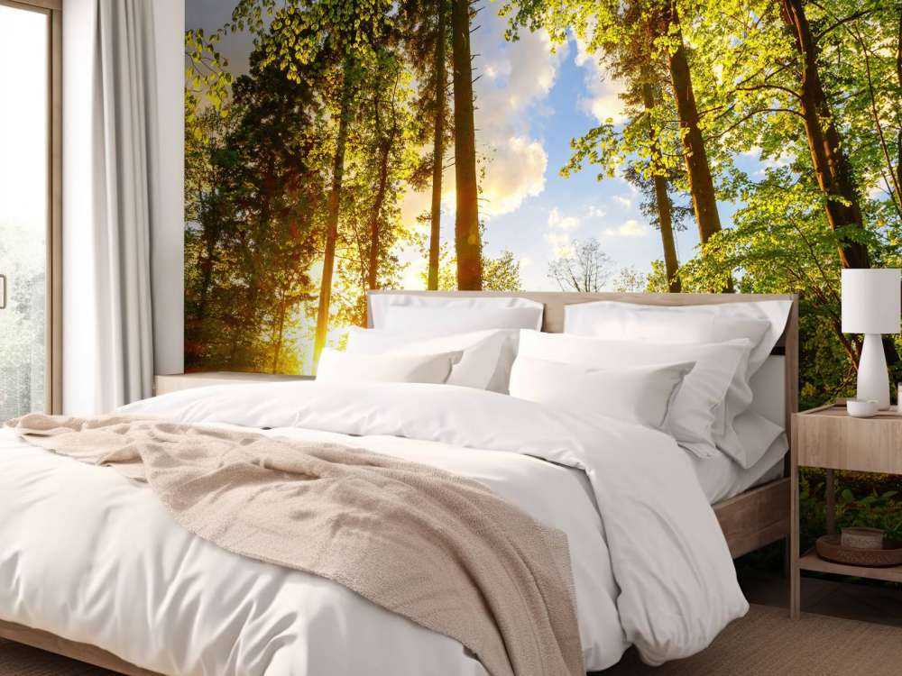 Zonsondergang door de bomen