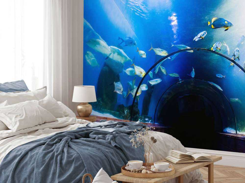 Bijzondere onderwater tunnel