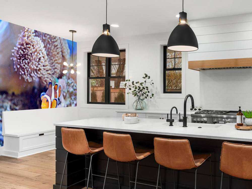 Anemoonvis in een koraalrif