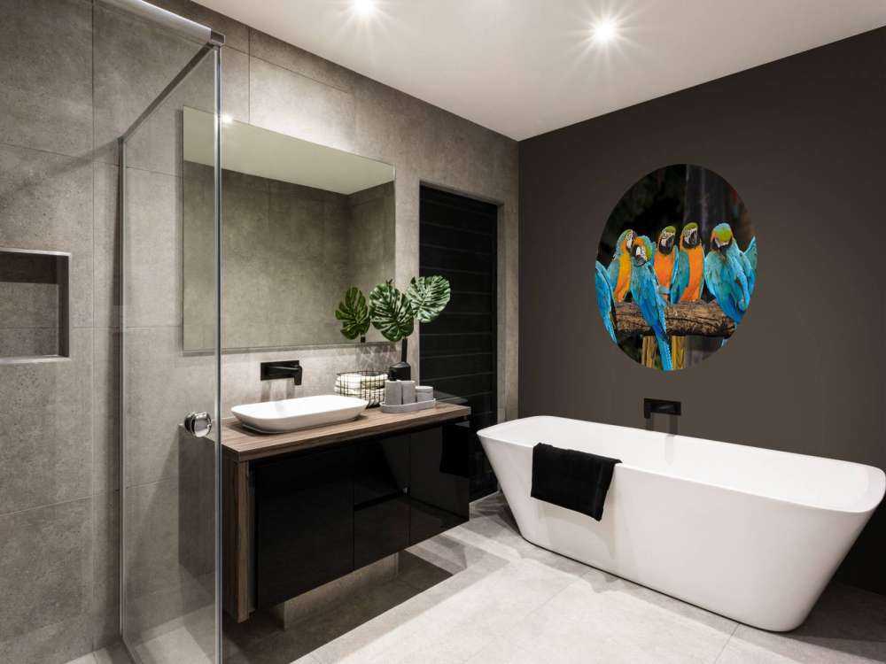 Papegaaien op een tak