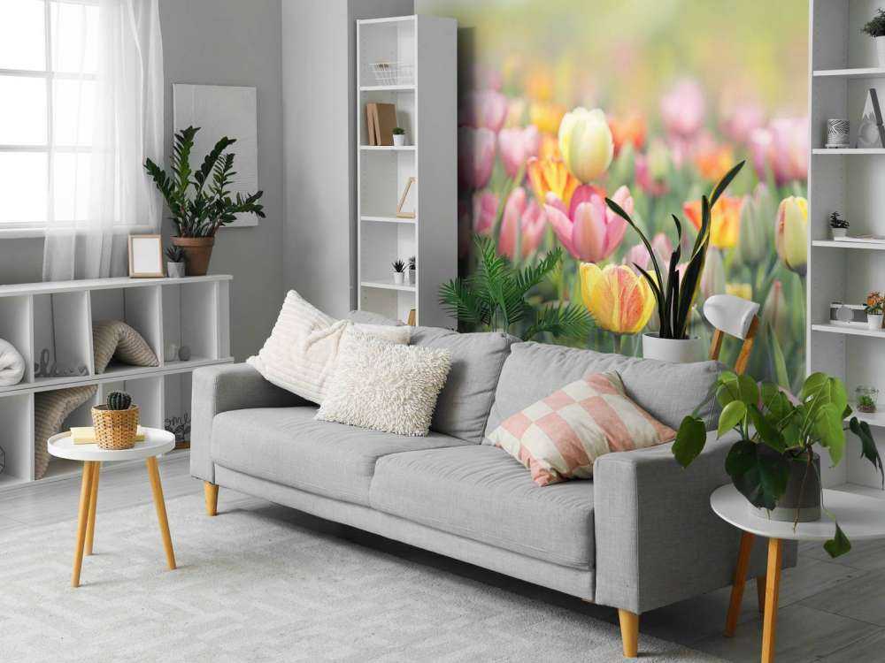 Kleurrijke tulpen