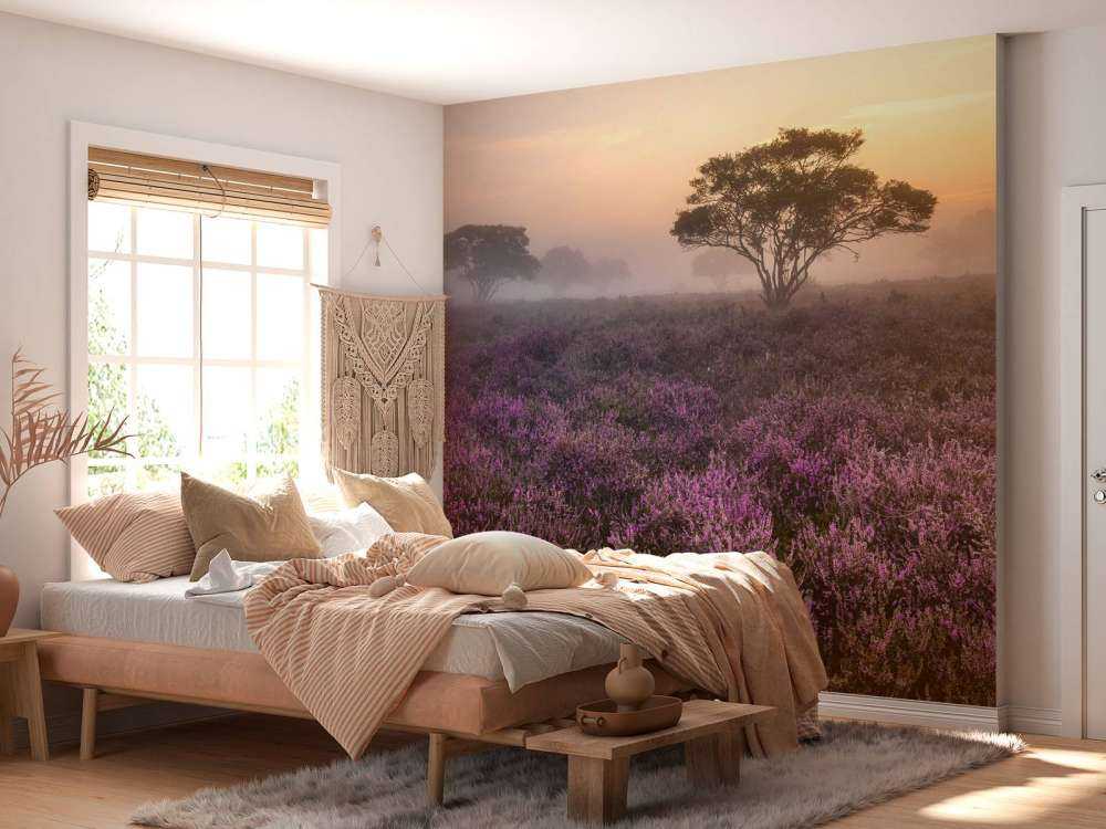 De Veluwe in de vroege ochtend