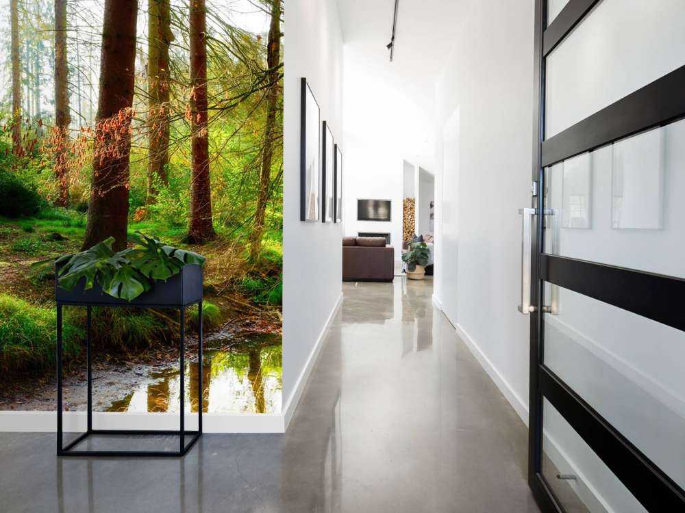 Herfstbos met helder zonlicht