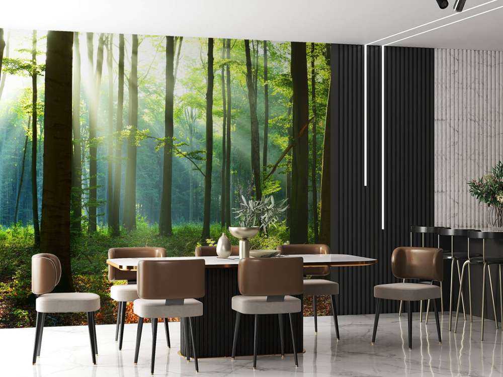 s Ochtends in het bos