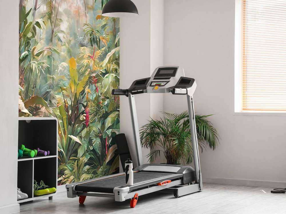 Ochtendlucht boven tropisch pad