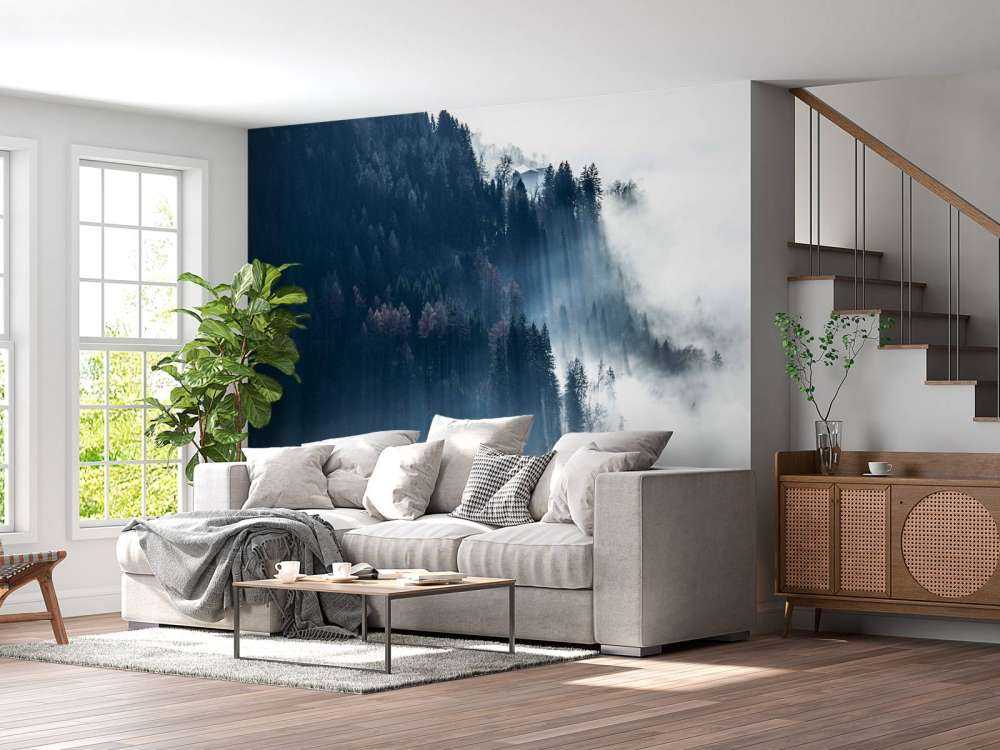 Ochtendlicht in mistig woud