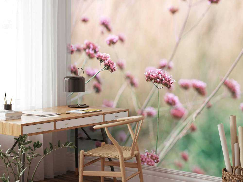 Soft pink meadow flowers