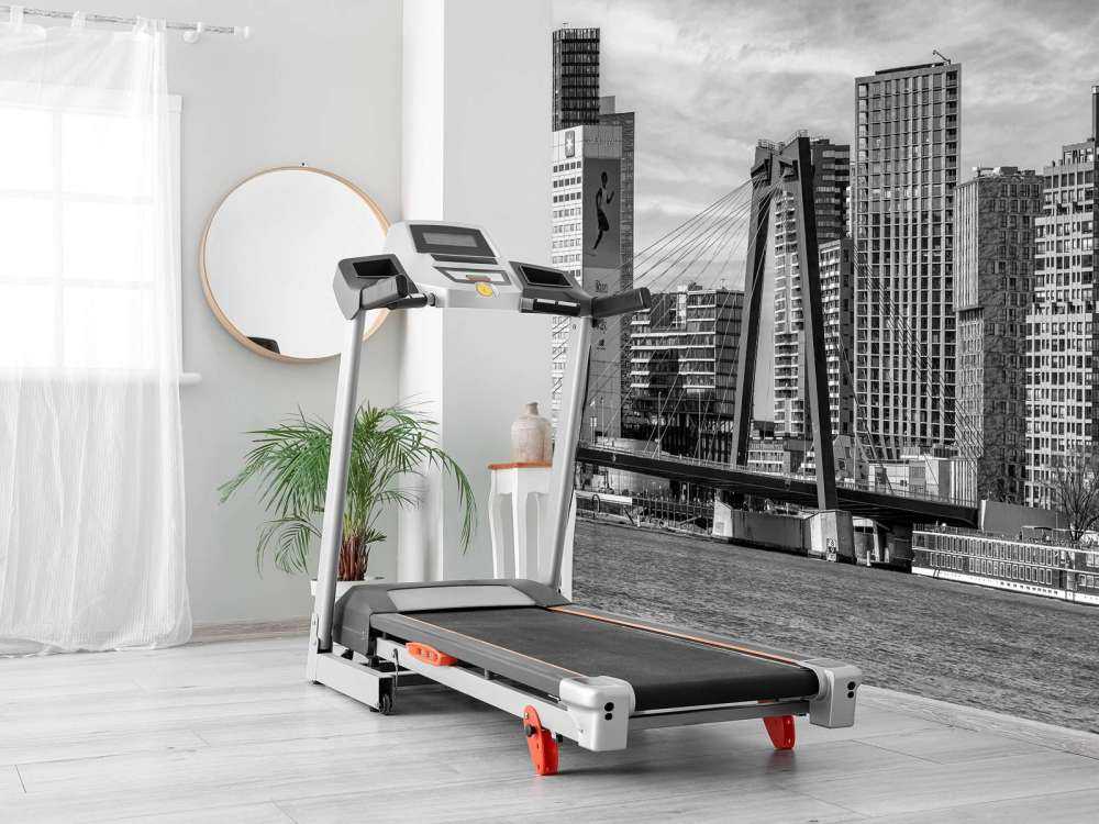 Zwart-Wit Skyline met Willemsbrug