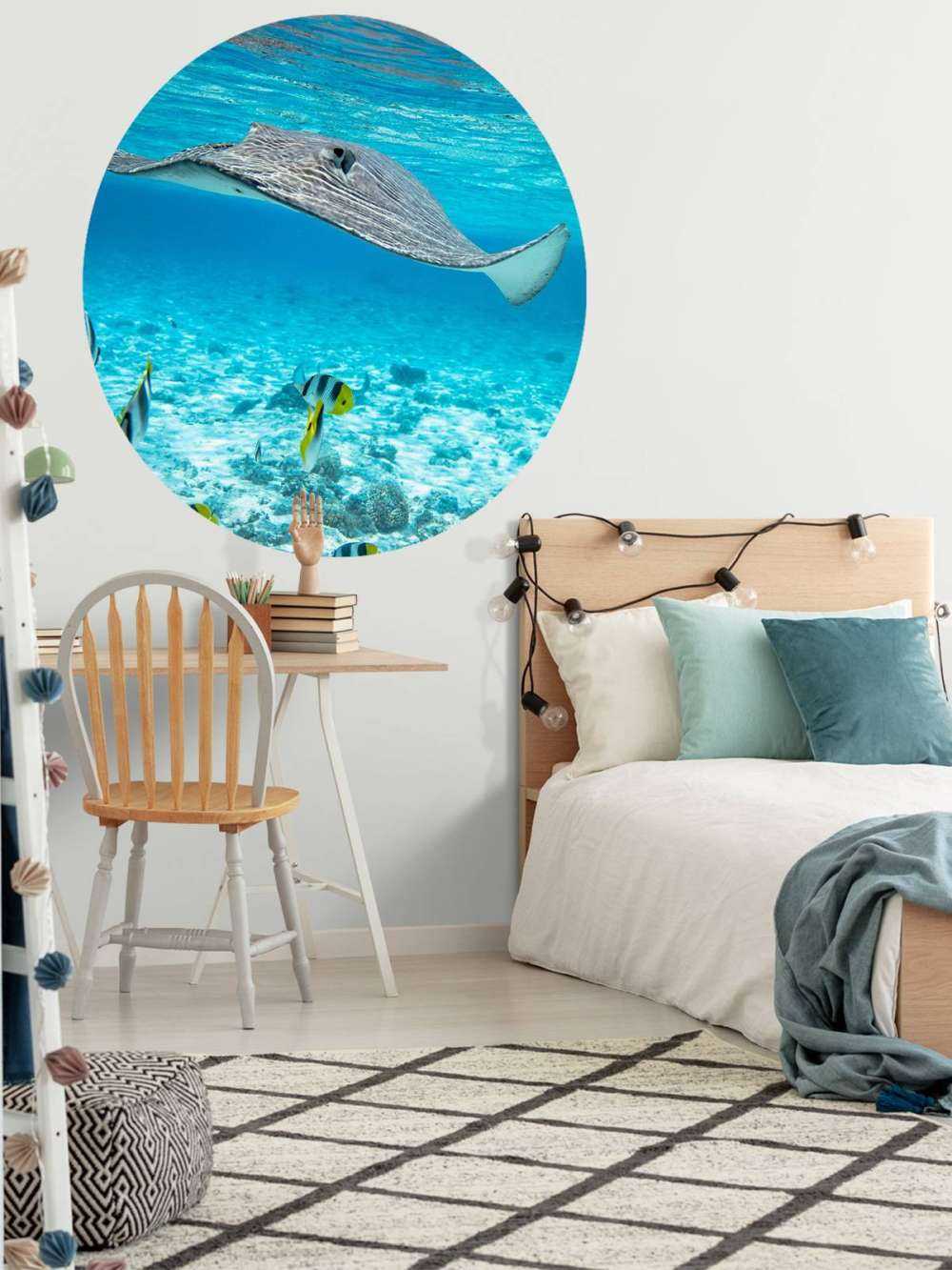 Pijlstaartrog tussen koraalvissen