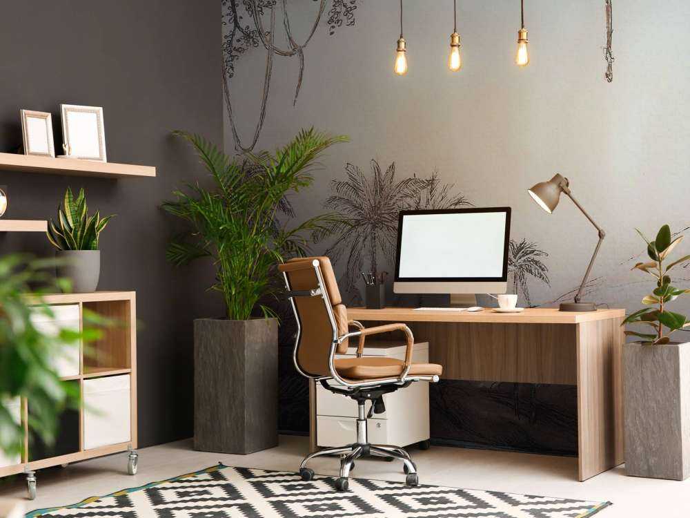 Palmenvallei in rozenlicht