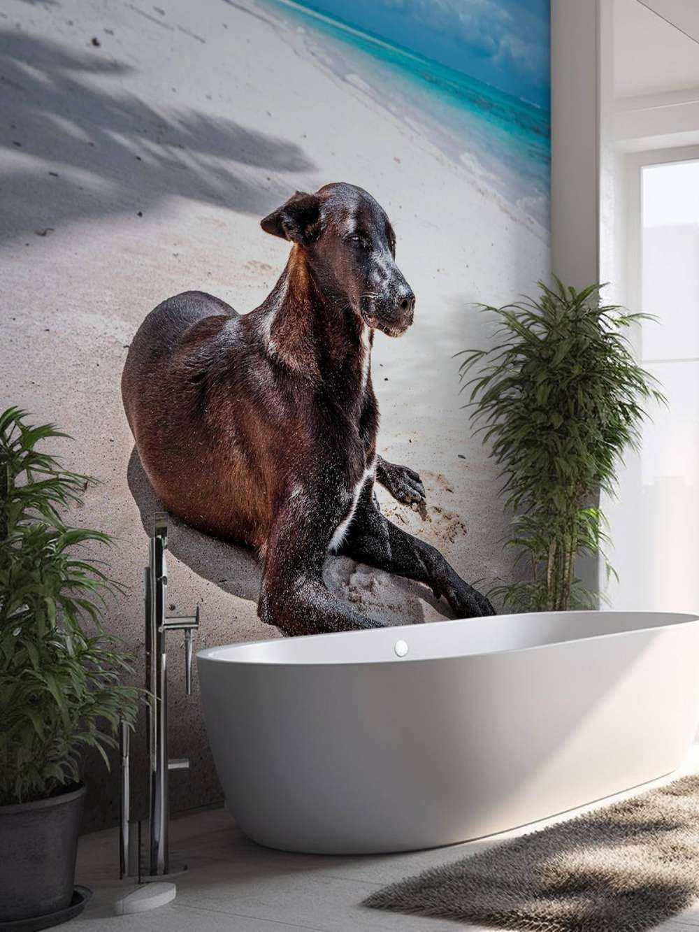 Zwarte hond aan tropisch strand