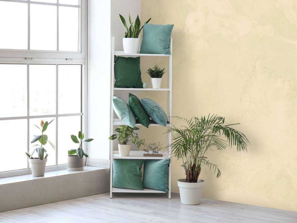 Sneeuwbes en wilde braam - jade