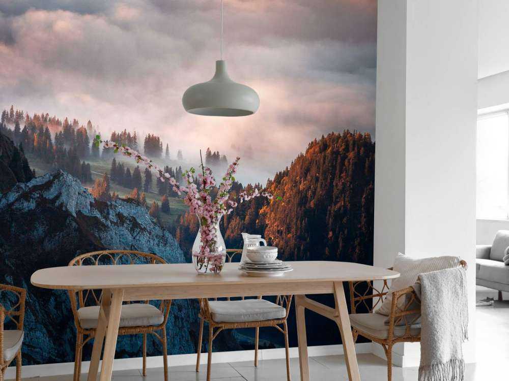 Bosrand in ochtendnevel