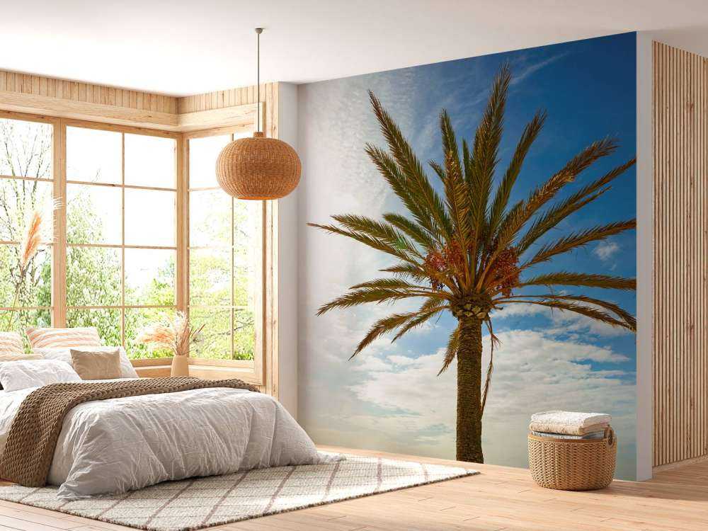 Mooie palmboom