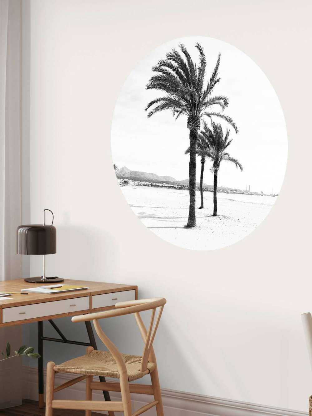 Palmbomen bij elkaar