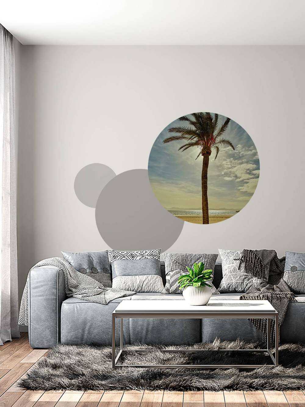 Palmboom in de zon
