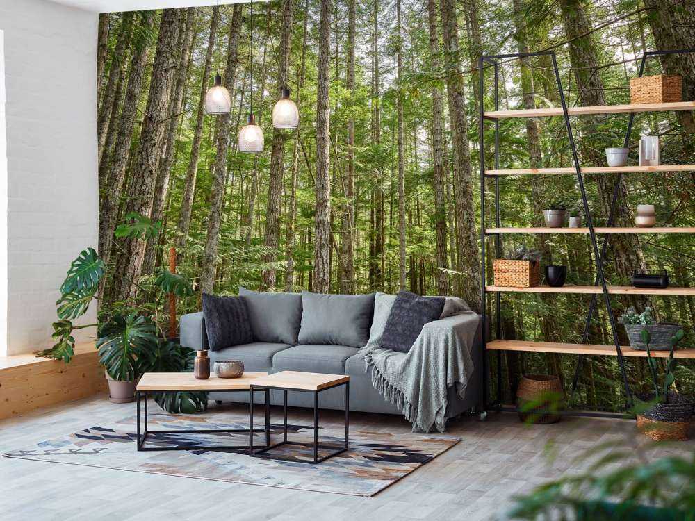 Dunne bomen in het bos