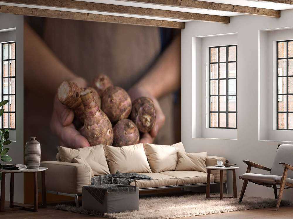 Aardproducten