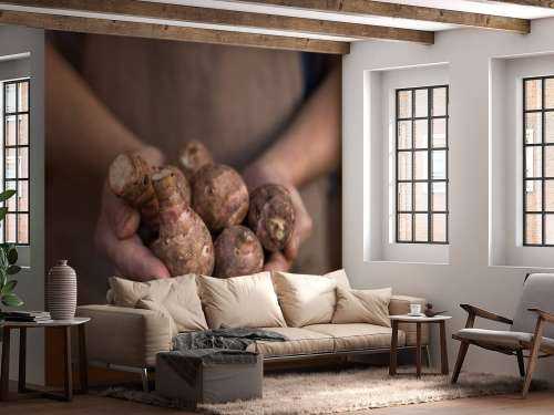 Aardproducten
