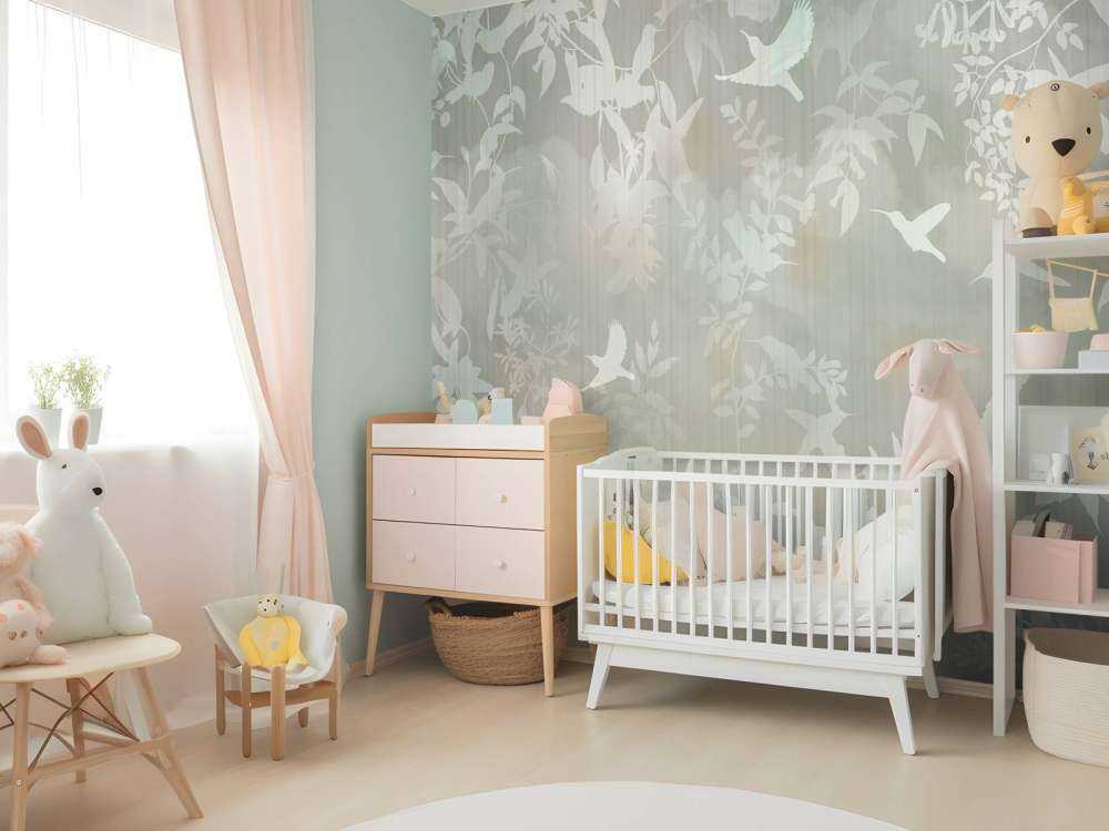 Bırds ın the fog 3