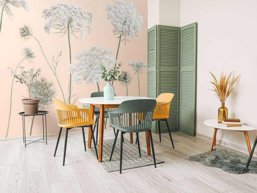 Cow parsley flowers on coloured background