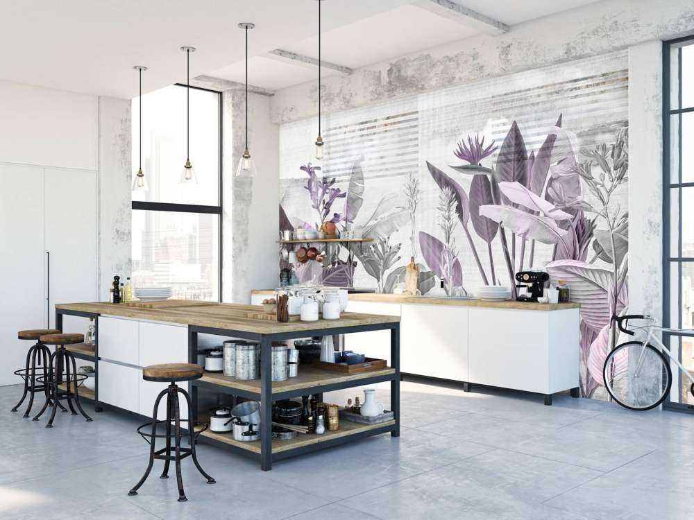 Dreams and Tropics 5