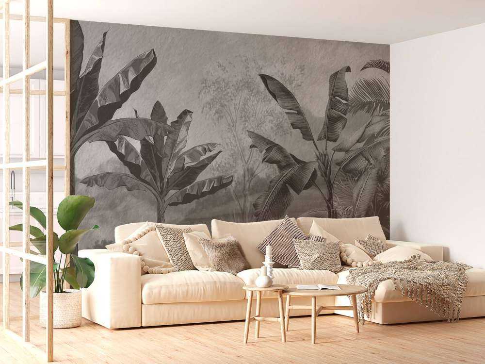 Bananen bomen in zwart-wit