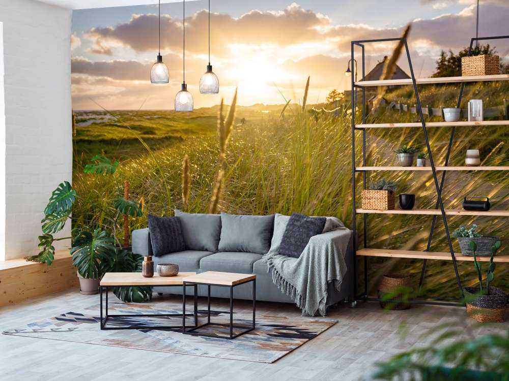 Riet bij zonsondergang