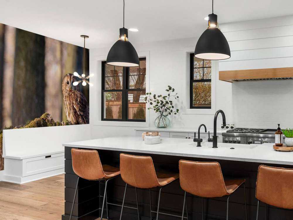 Uiltje op een afgebroken boom