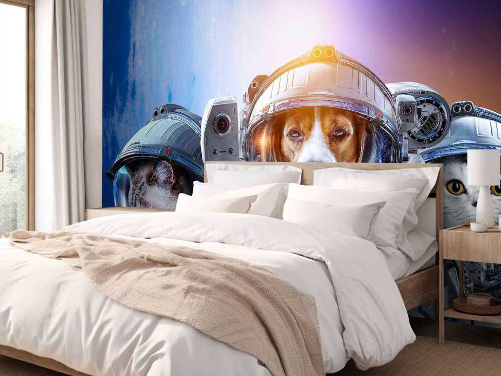 Dierlijke astronauten