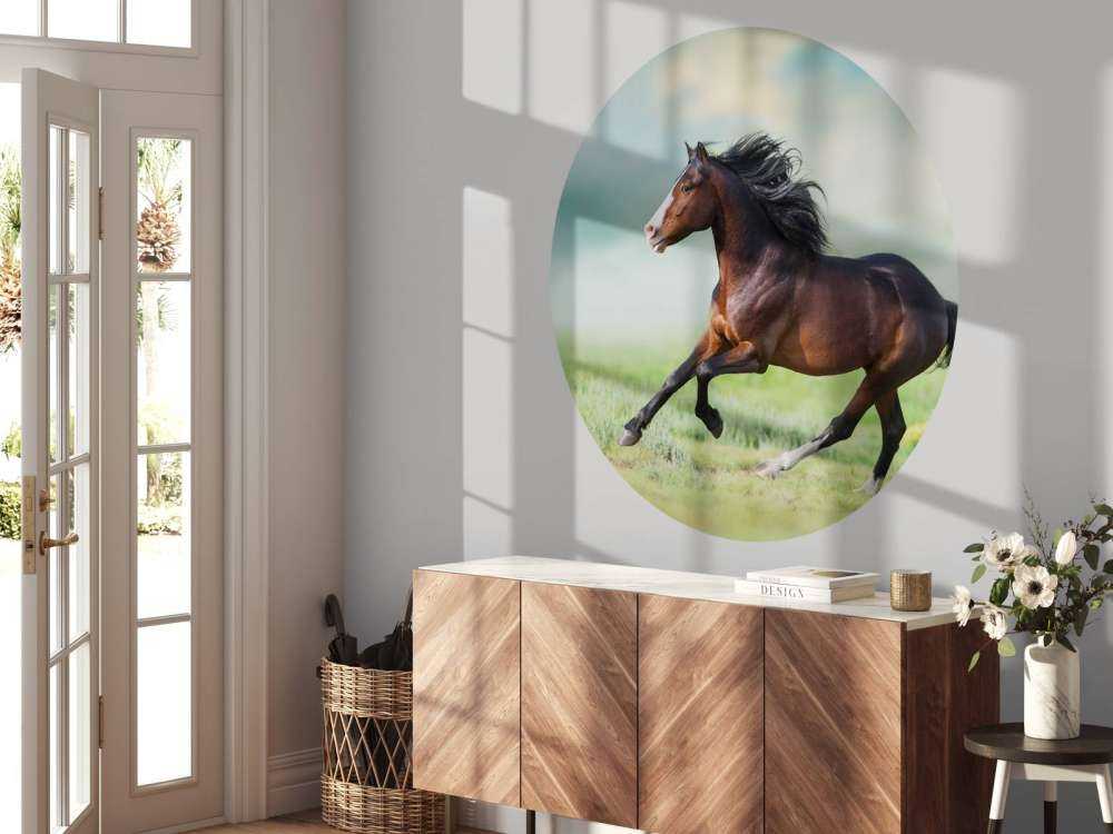 Paard aan het rennen