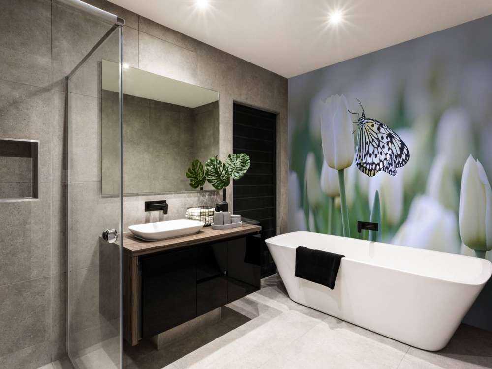 Vlinder op een witte tulp