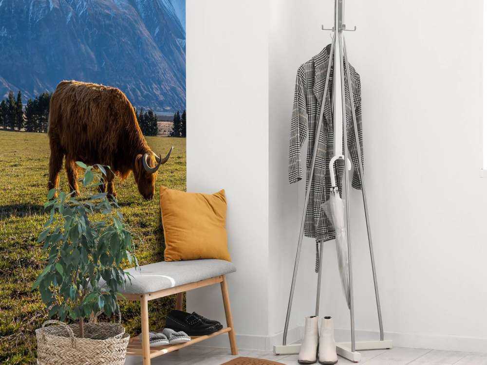 Hooglander met ingesneeuwde bergen