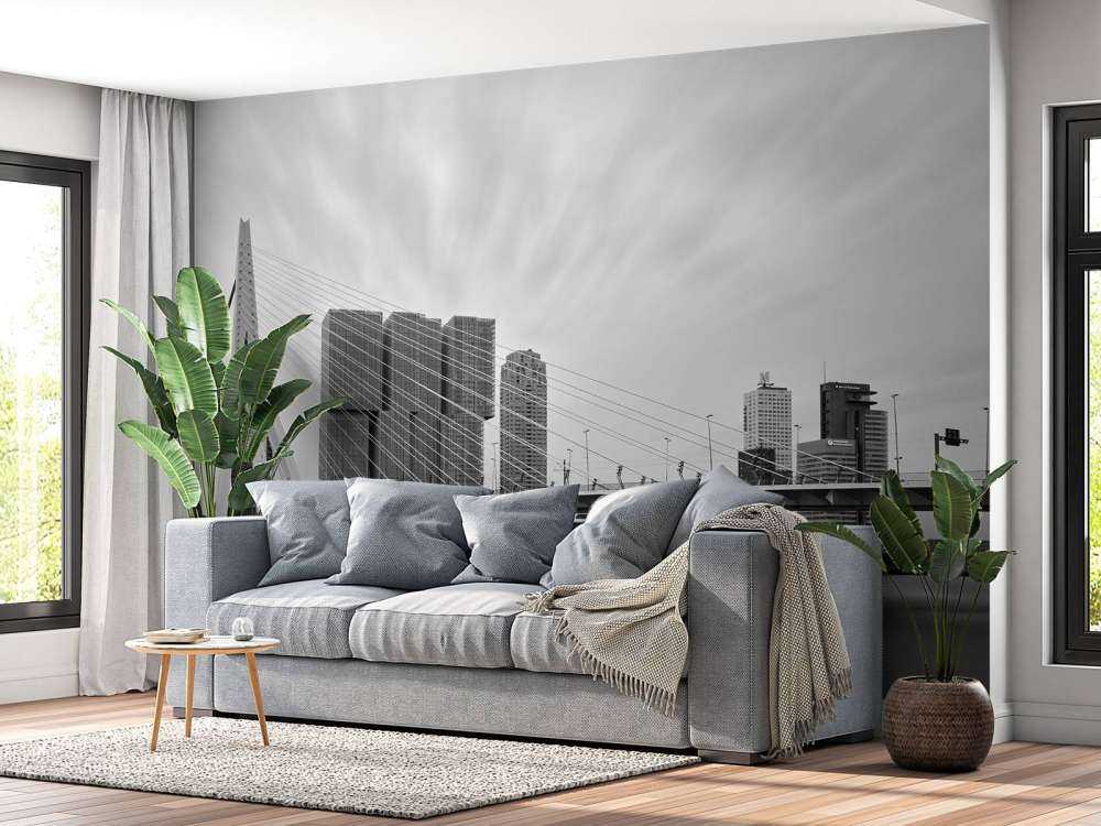 Erasmusbrug zwart wit