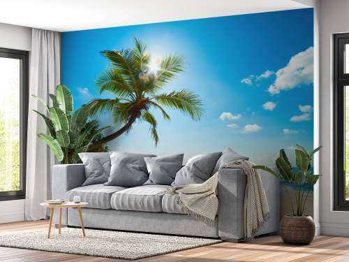 Grote palmboom