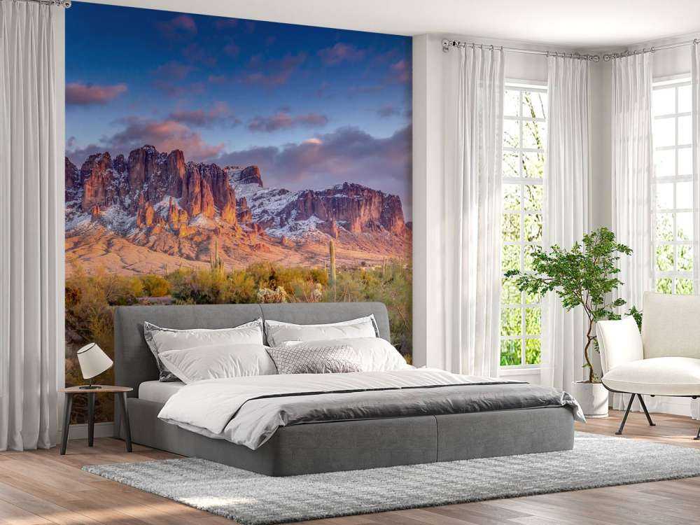 Cactus in een berglandschap